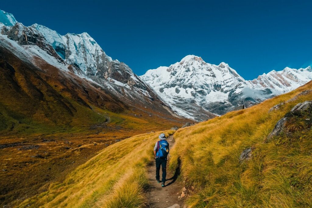 In the foreground, a man in a blue ski jacket walks away from the camera through a field of bright yellow grass. In the background are the massive peaks of the Annapurna mountains.