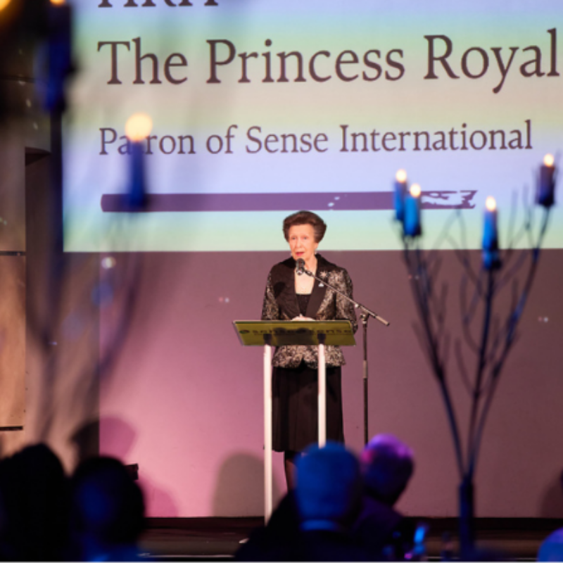 News headline thumbnail for An evening with HRH The Princess Royal at the Changemakers Gala Dinner